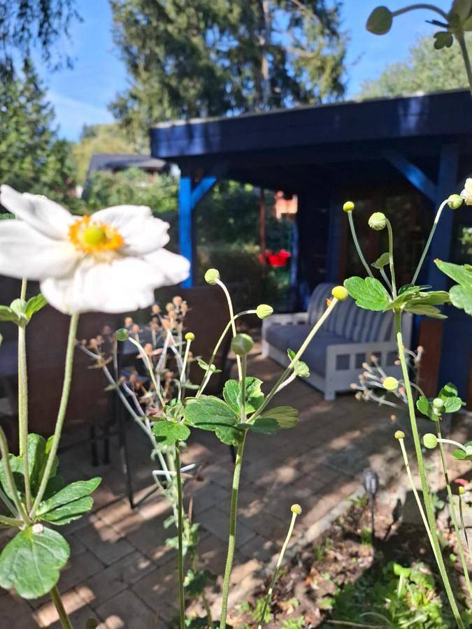 Ferienwohnung für 4 Personen, mit Garten in Ferch - 3