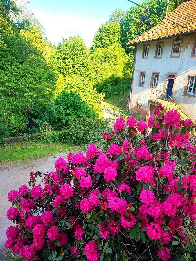Gîte pour 3 personnes, avec vue et jardin à Grandfontaine (Bas-Rhin) - 4