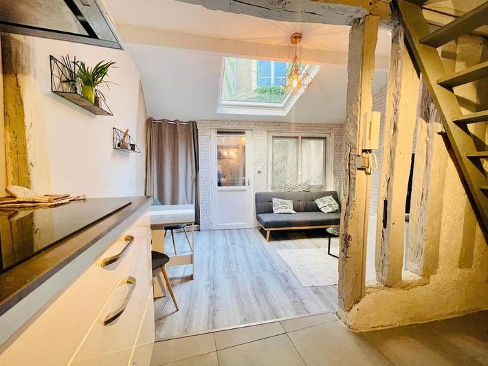 Maison d’hôte pour 4 personnes, avec jardin à Orléans - 3