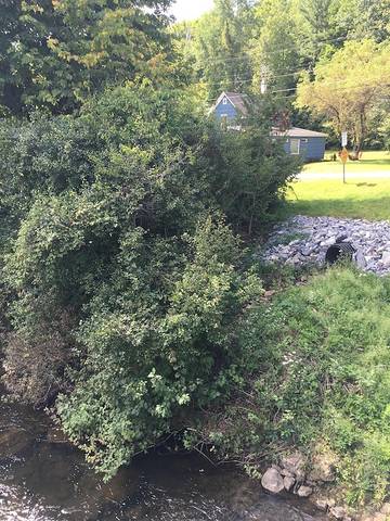 Cottage for 6 People in Manchester (VT), Green Mountain National Forest, Photo 1