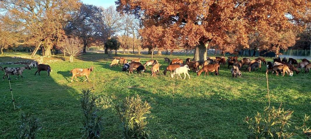 Location de vacances pour 6 personnes, avec piscine ainsi que vue et jardin, adapté aux familles à Saint-Remèze - 2