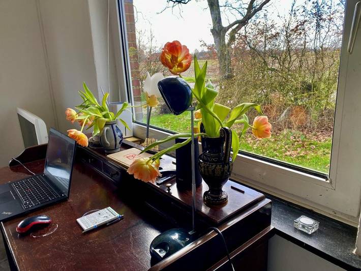 Ferienhaus für 3 Personen, mit Terrasse und Garten sowie Ausblick in Osteel - 3
