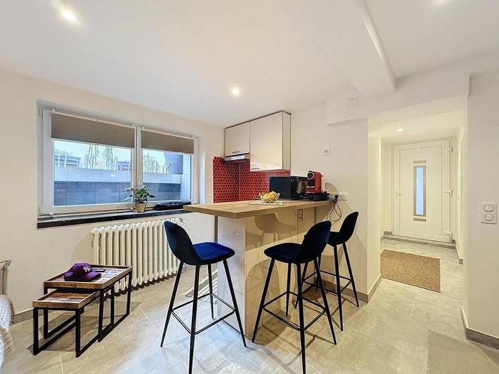 Chambre d’hôte pour 3 personnes, avec jardin, animaux acceptés à Strasbourg - 4