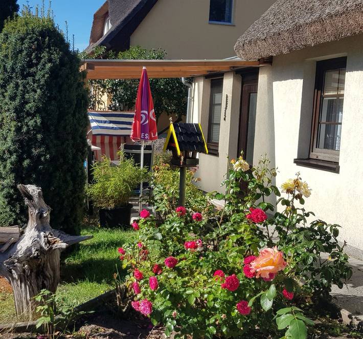 Ferienwohnung für 2 Personen, mit Terrasse, mit Haustier in Born a. Darß - 3