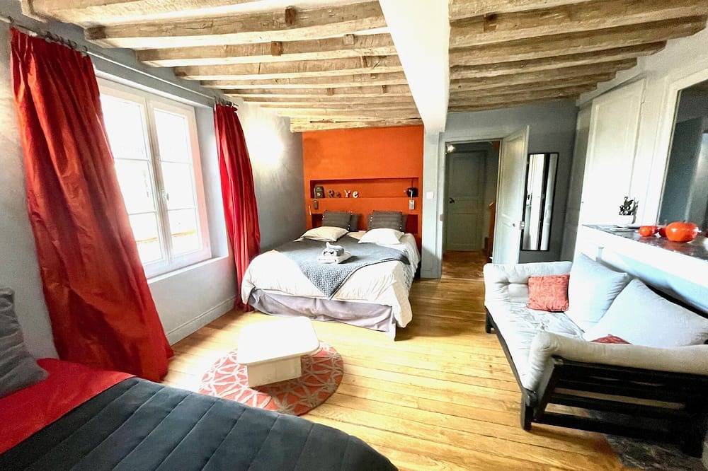Entire apartment, Appartement de L'Octroi in Chartres, Chartres region