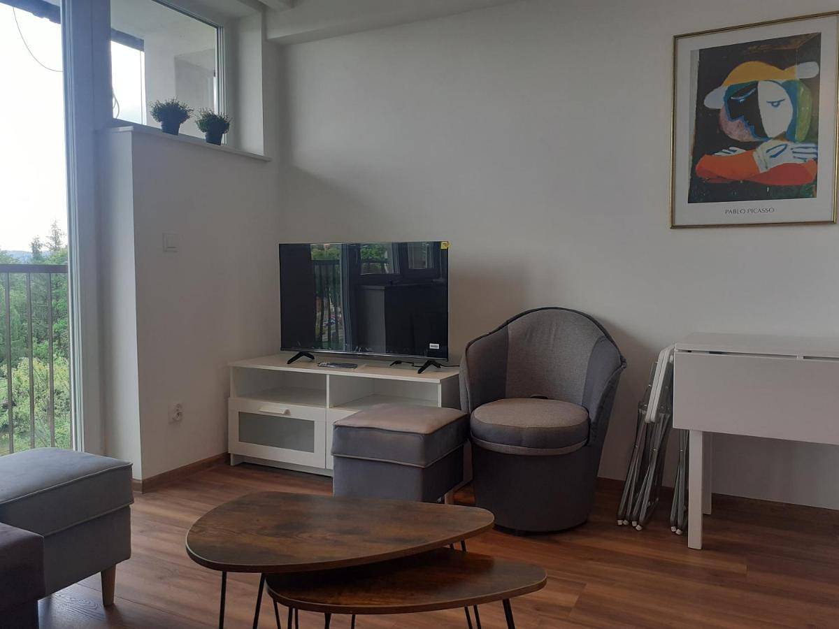 Cały apartament, Classic Apartment in Cieszyn, Karpaty (Polska)