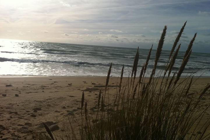 Maison de vacances pour 6 personnes, avec terrasse à Sainte-Marie-de-Ré