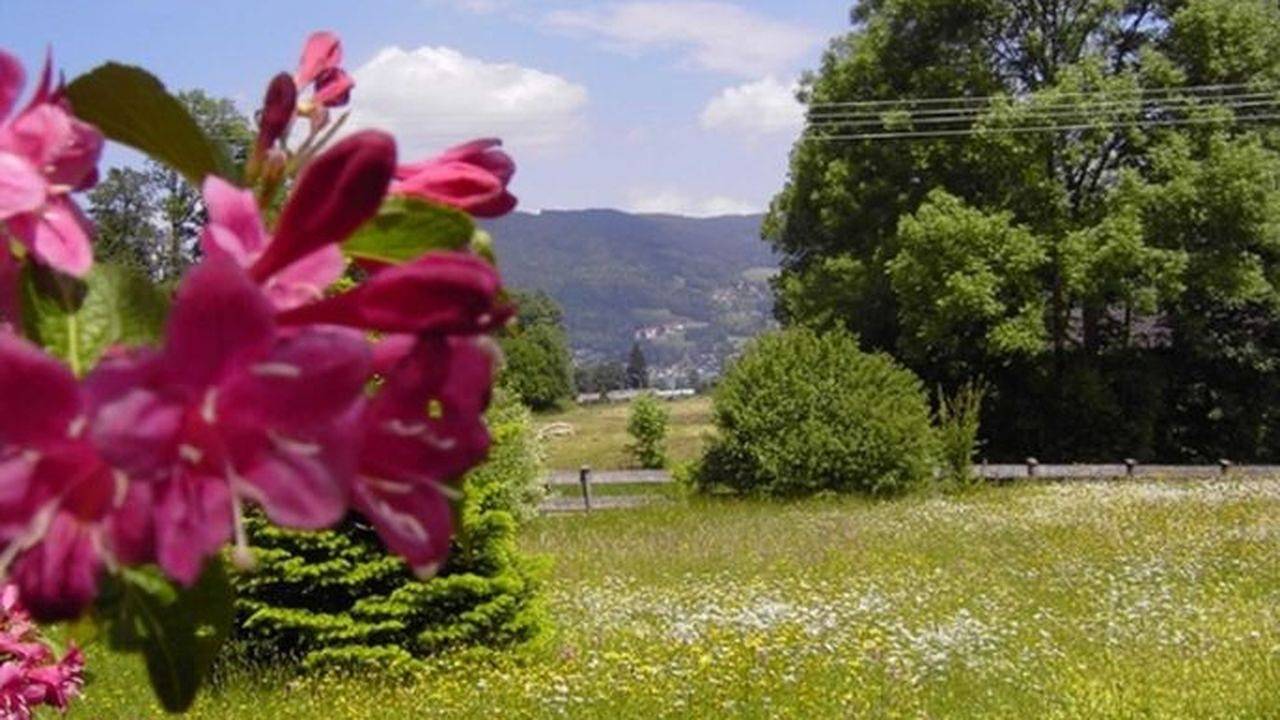 Apartamento vacacional entero, Ferienwohnung für 2 Personen (34 m²) in Bad Wiessee in Bad Wiessee, Alpes Bávaros