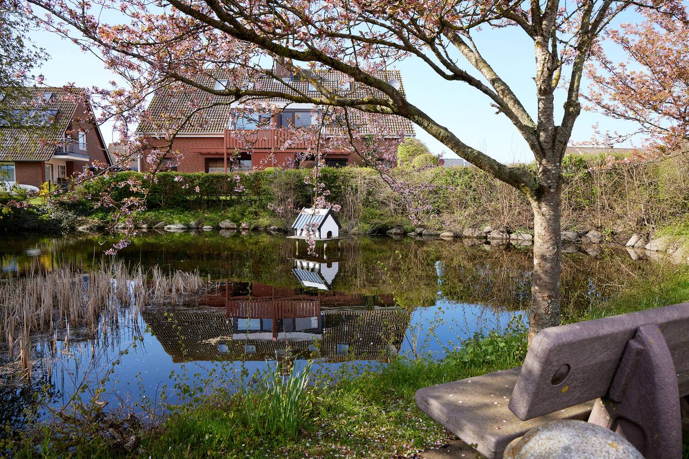 Ganze Ferienwohnung, Fewo am Dorfteich in Westfehmarn, Lemkenhafen