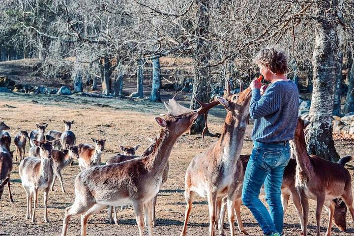 Ferienhaus für 2 Personen, mit Pool und Garten sowie Seeblick und Sauna, mit Haustier in Skane - 2