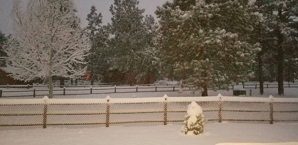 Gemütliche Bärenhütte in Bison Ranch. In der Nähe von Mongollon Rim. Mit einem entspannenden Whirlpool. in Navajo County