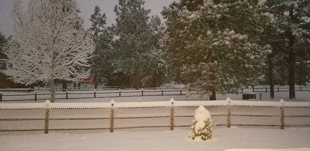 Blockhütte für 6 Personen, mit Whirlpool und Balkon sowie Garten, mit Haustier - 1