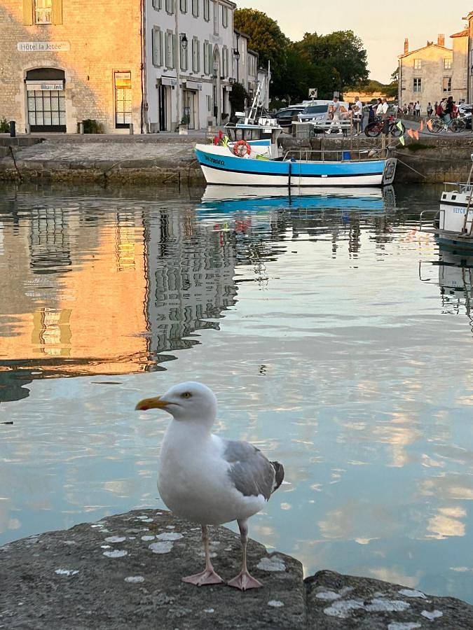 Gîte pour 4 personnes, avec vue dans Port De Saint Martin De Re - 2
