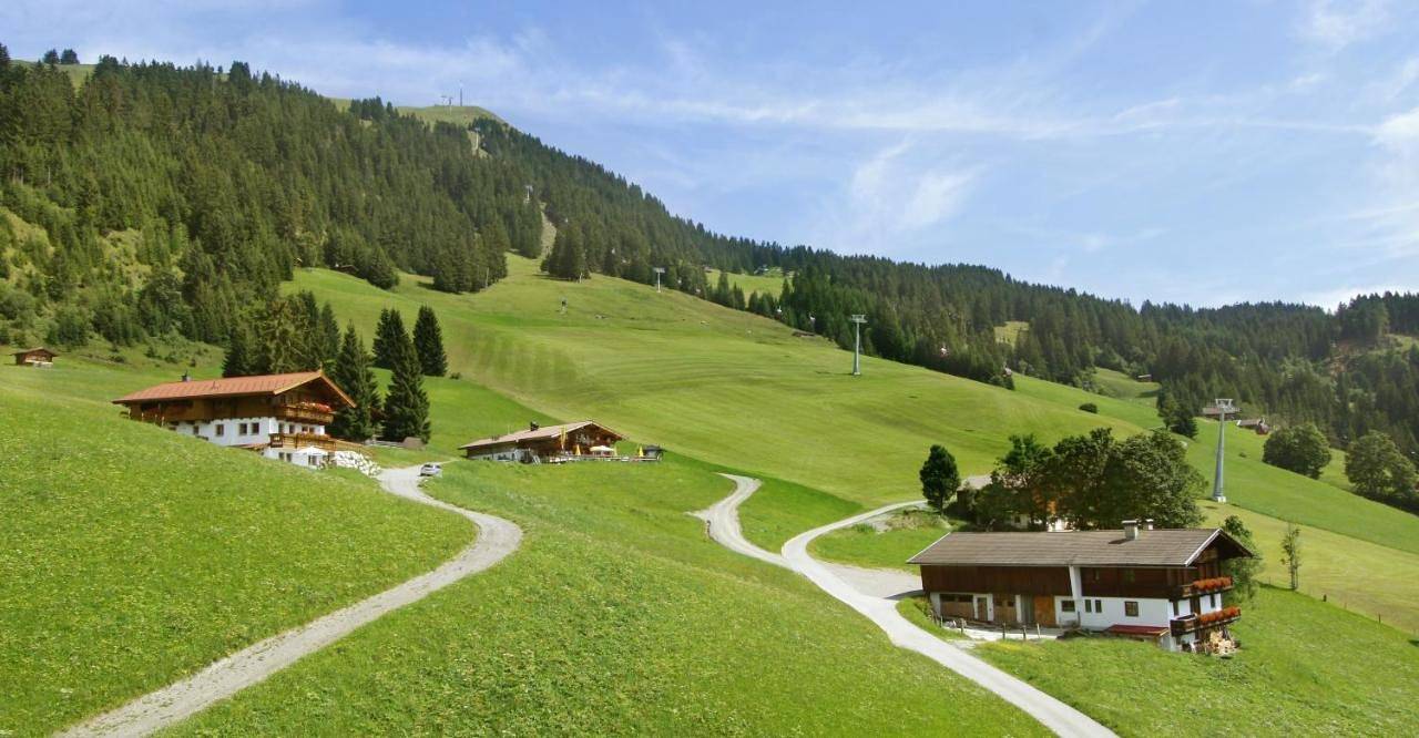 Salvenalm in Hopfgarten im Brixental, Kaisergebirge