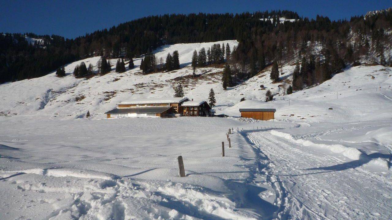 Ganze Ferienwohnung, Ferienwohnung für 2 Personen (50 m²) in Balderschwang in Balderschwang, Bayerisch Schwaben