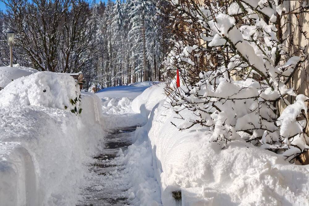 Apartamento entero, Gîte des Hauts Sapins 4* - 4 pers. An ideal location and a soothing atmosphere.  in Pays de Pontarlier, Doubs (desambiguación)