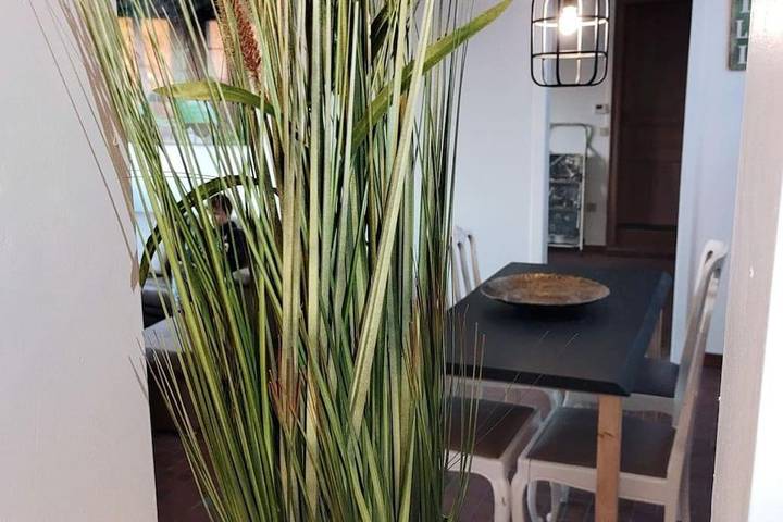 Gîte pour 3 personnes, avec jardin et terrasse à Zedelgem - 3