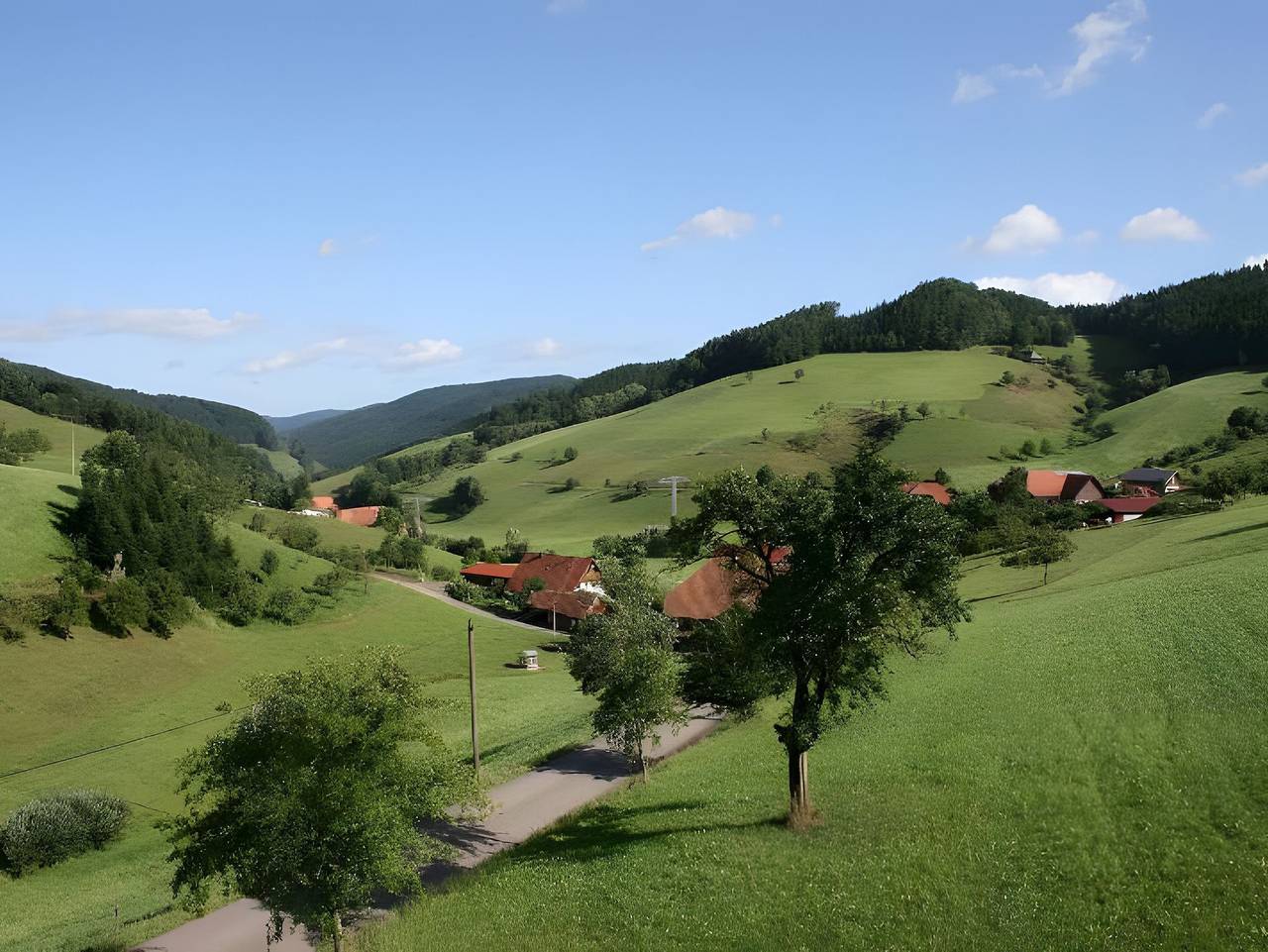 Ganze Ferienwohnung, Geigerseppleshof in Mühlenbach, Mittlerer Schwarzwald