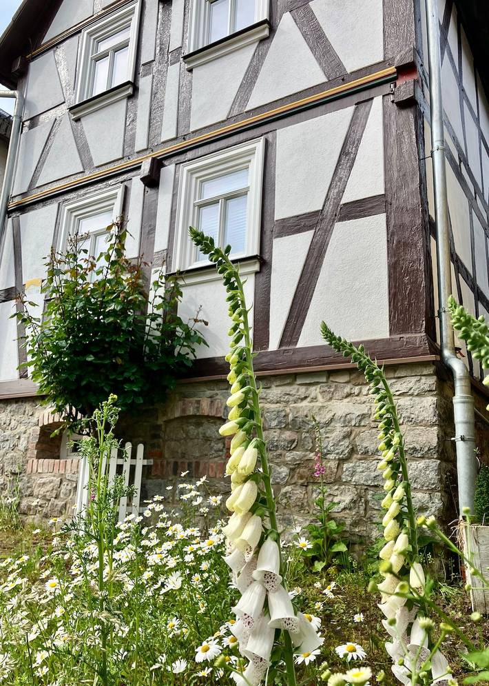 Ferienhaus für 4 Personen, mit Balkon und Garten in Schotten - 4
