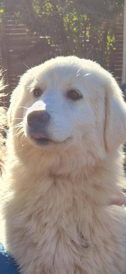 Chambre d’amis pour 4 personnes, avec vue et jardin à Jouques - 2