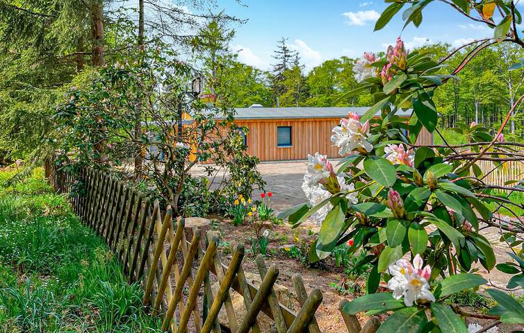 Ferienhaus für 12 Personen, mit Terrasse und Ausblick in Friedrichsbrunn - 2