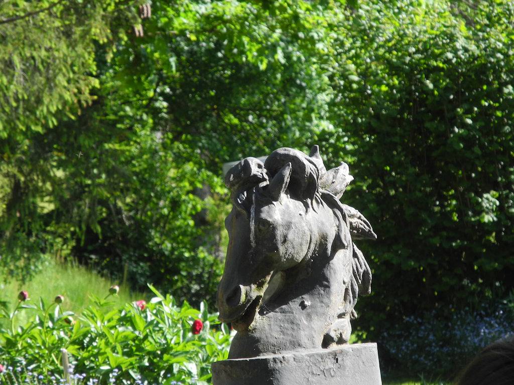 Le Gîte du Sapt - Accueil cavaliers in Saint-Genest-Malifaux, Parc Naturel Régional du Pilat