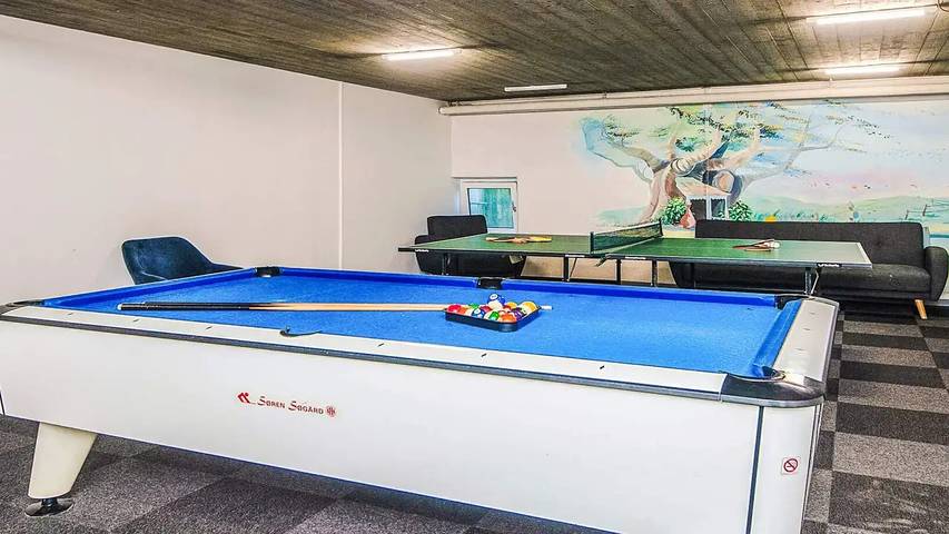 Ferienhaus für 5 Personen, mit Whirlpool und Sauna sowie Pool in Hejlsminde - 3