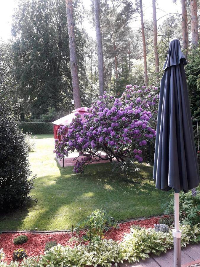 Ferienhaus für 2 Personen, mit Terrasse und Garten in Heidesee - 3