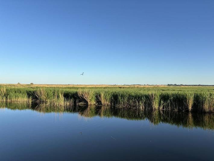 Ferienhaus für 8 Personen, mit Garten und Ausblick in Swinemünde - 4
