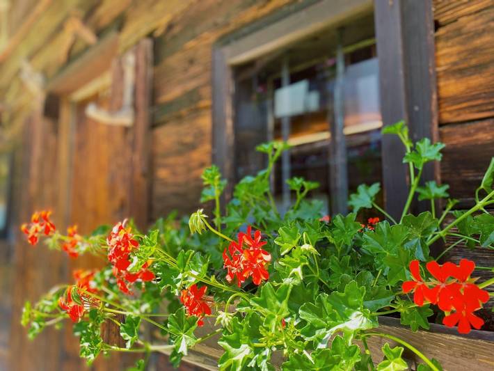 Ferienwohnung für 5 Personen, mit Terrasse und Garten sowie Seeblick in den Kitzbüheler Alpen - 4