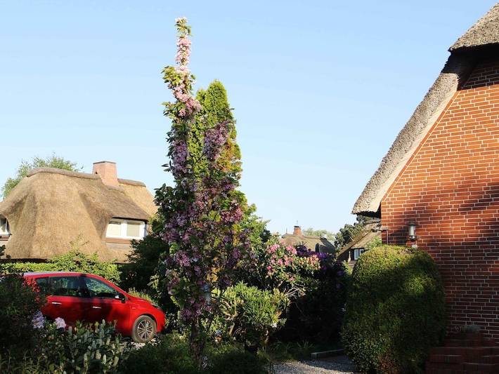 Chalet für 4 Personen, mit Garten in St. Peter-Ording - 3