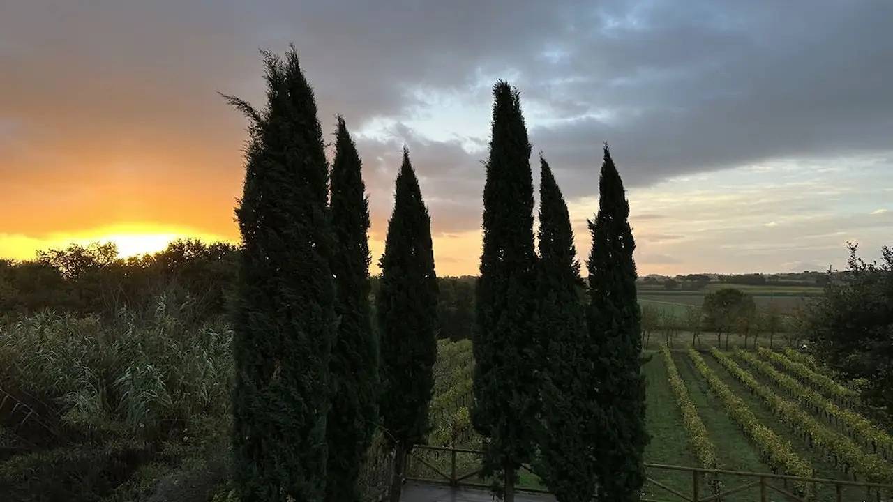 Holiday home for 6 people in Montepulciano, Chianti