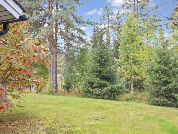 Paljakan pirtit a4 in Kainuu