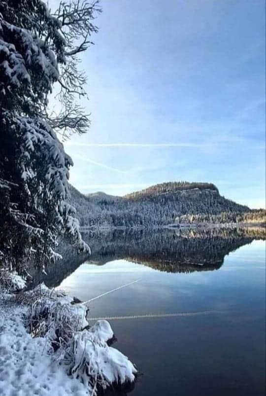 Location de vacances pour 5 personnes, avec jardin ainsi que terrasse et vue, animaux acceptés dans Lac de Bonlieu - 2