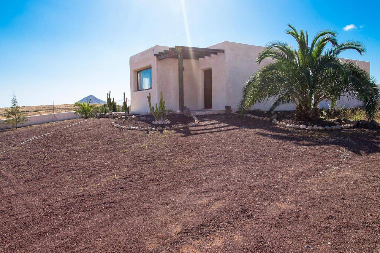 Villa Upupa in La Oliva, Fuerteventura