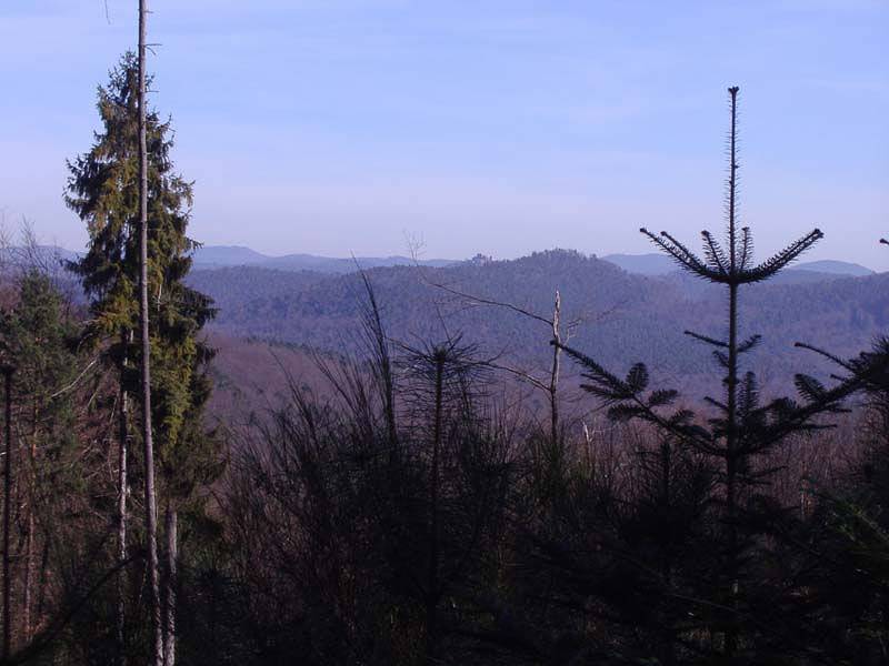 Gîte en moyenne montagne in Grendelbruch, Bas-Rhin Alsace