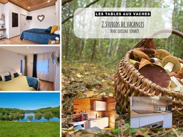 Gîte pour 3 personnes, avec jardin dans Lac de la Raviège