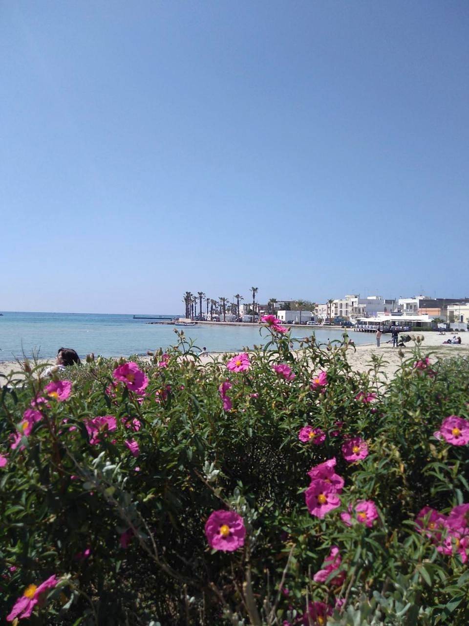 Stanze nel verde in Porto Cesareo, Golfo di Taranto