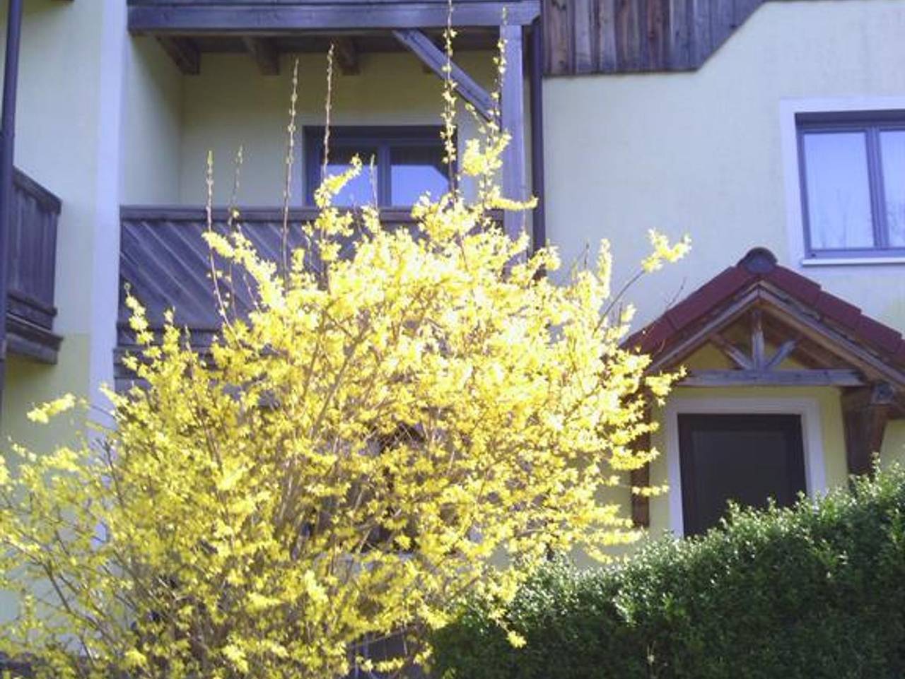 Ganze Ferienwohnung, Apartments Grabler - Grabler Sonnenschein in Salzkammergut-Berge, Altmünster