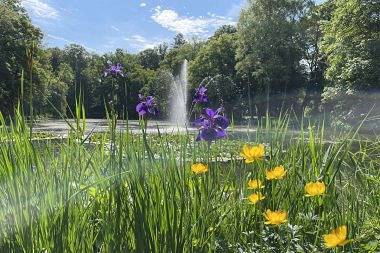 Ferienwohnung für 2 Personen, mit Balkon/Terrasse und Balkon, kinderfreundlich in Bad Aibling - 4