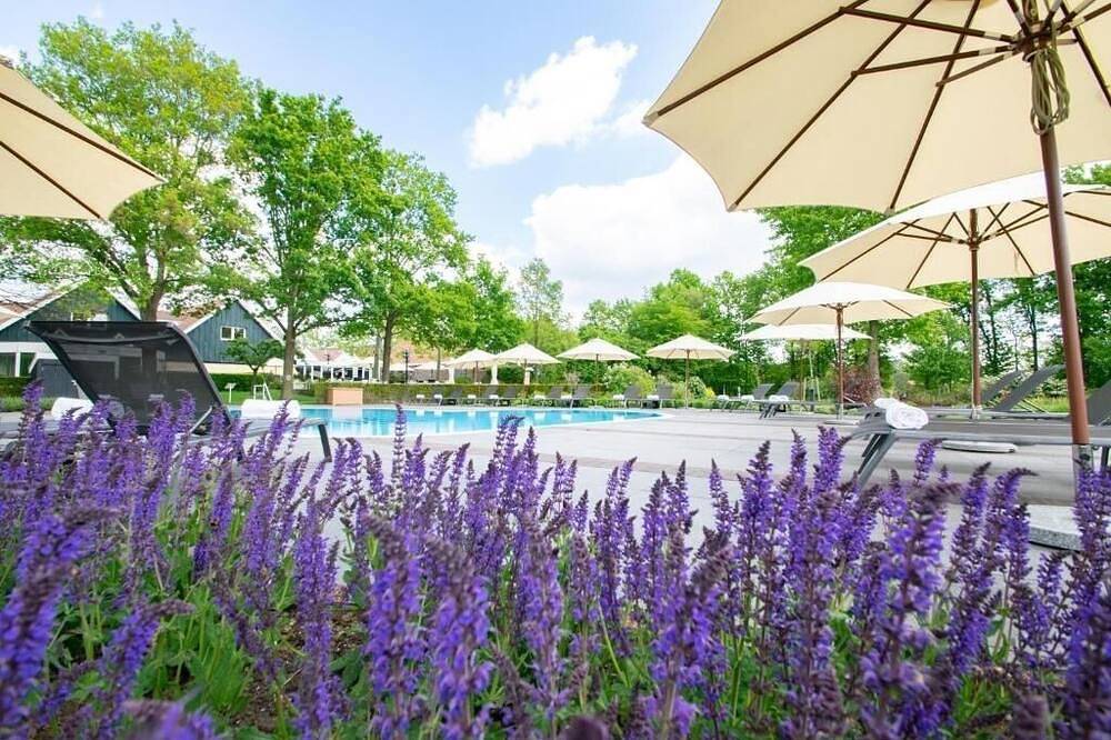 Relax in Stunning Green Surroundings Close to Ootmarsum - with 2 Swimming Pools in Ootmarsum, Twente