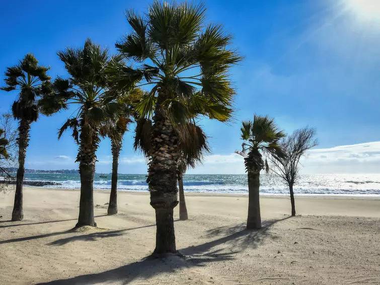 Entire apartment, 1 Pièce 4 Personnes in Fréjus Plage, Frejus