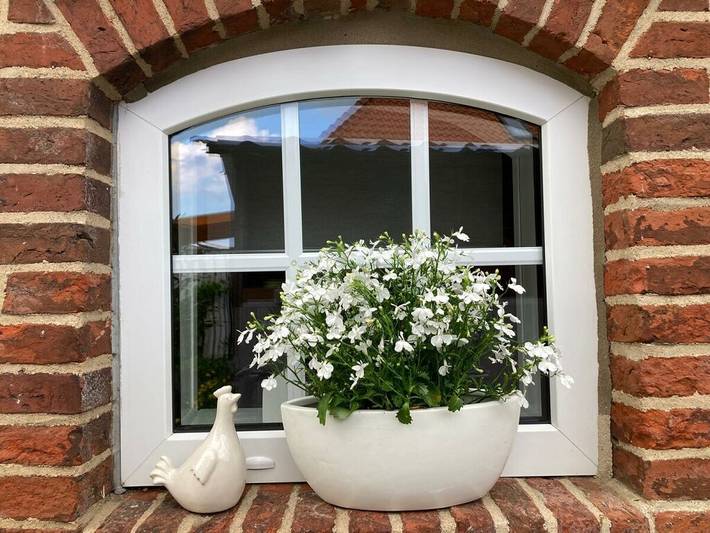 Ferienhaus für 2 Personen, mit Terrasse in Pilsum - 4
