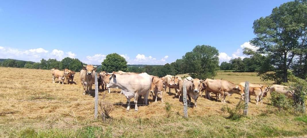 Location de vacances pour 7 personnes, avec vue et jardin dans Neuvéglise-sur-Truyère - 2