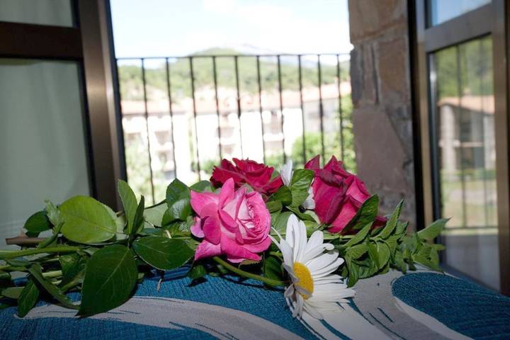 Apartamento de vacaciones para 5 personas, con jardín además de balcón y vistas en Parque nacional de Ordesa y Monte Perdido - 3