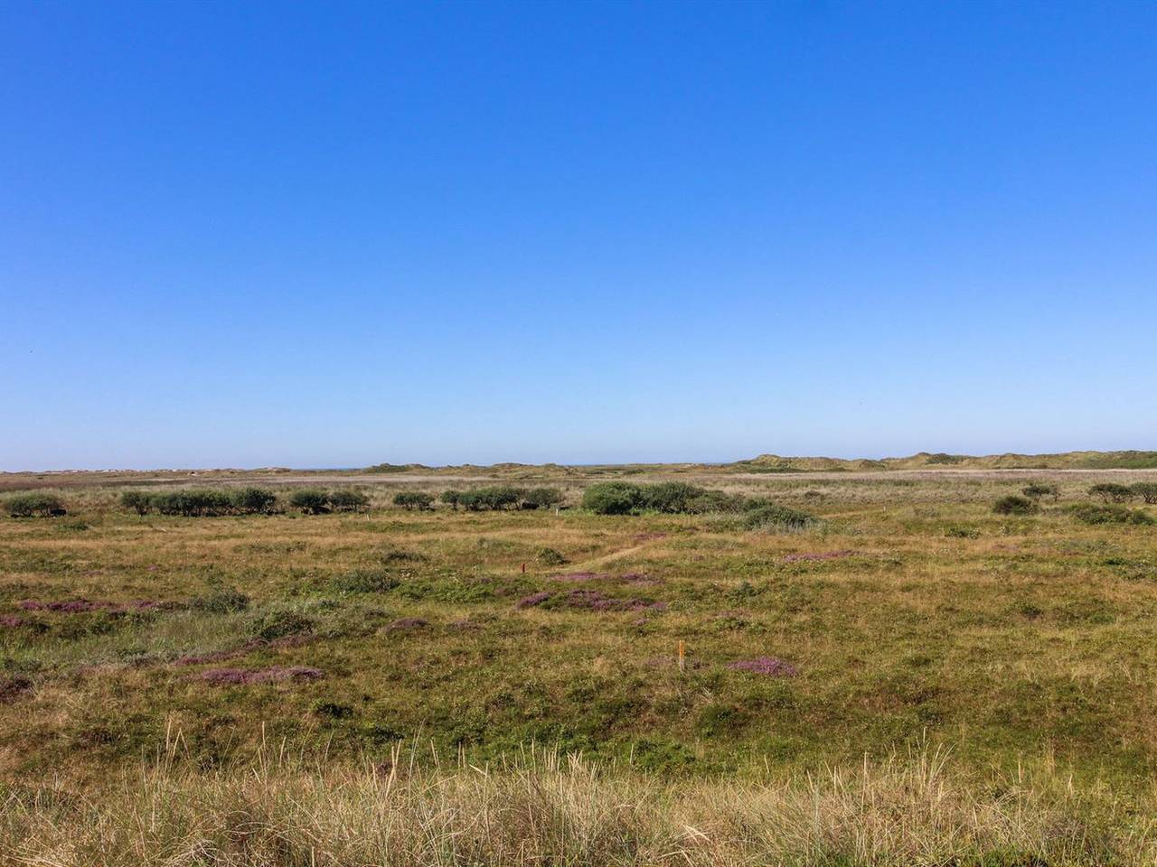 "Alim" - 300m from the sea in Lakolk, Rømø