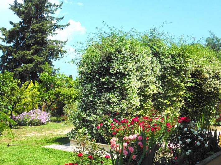 Διαμονή για διακοπές για 4 άτομα, με θέα και κήπο καθώς και θέα στη λίμνη στο Πέραμα