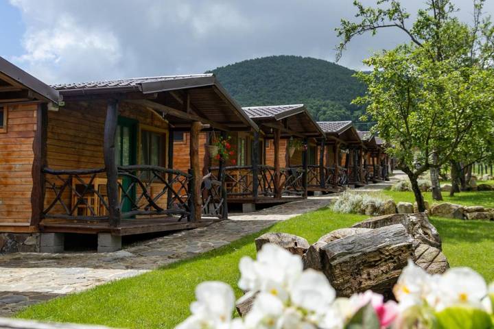 Maison d’hôte pour 2 personnes, avec jacuzzi et jardin à Alba (Romania) - 4
