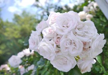 Strandhaus für 6 Personen in St. Peter-Bad, St. Peter-Ording, Bild 2