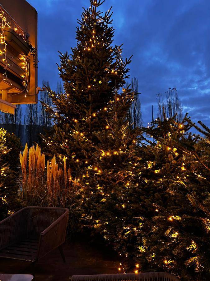 Hotel für 2 Personen, mit Ausblick und Garten sowie Seeblick, mit Haustier im Elsass - 4